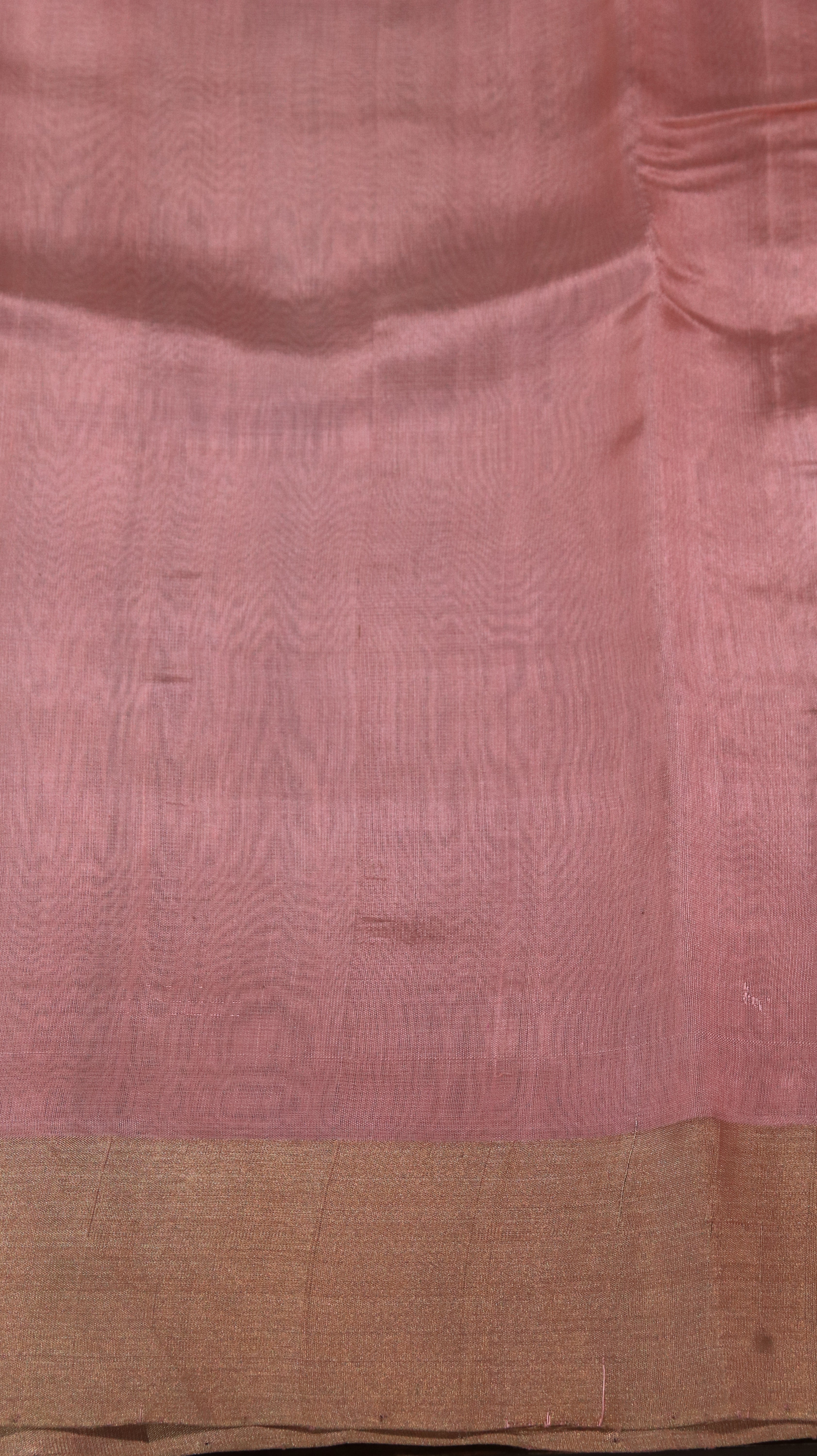 Rose Eclat | Chanderi