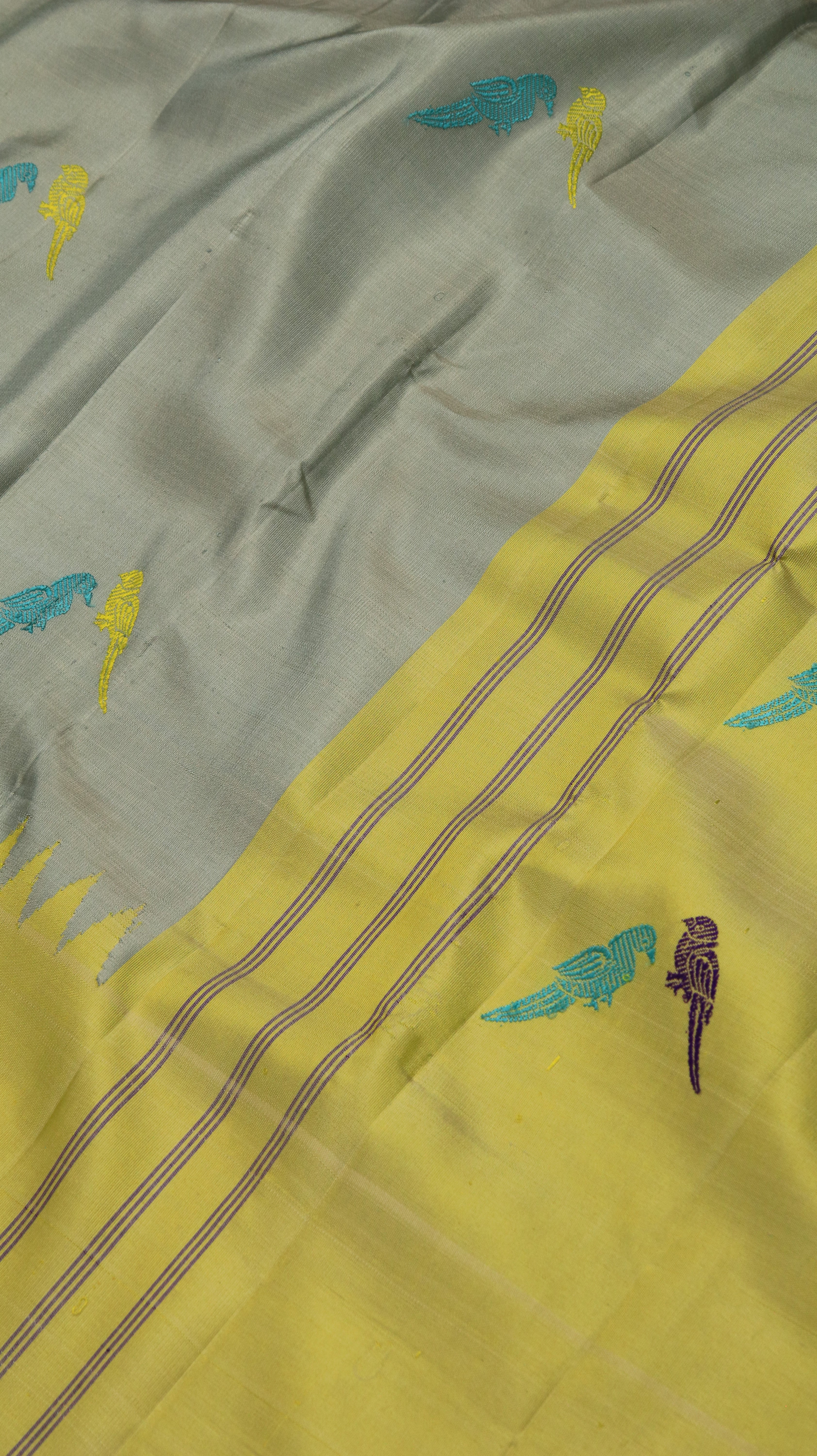 Parrot Whisper | Gadwal