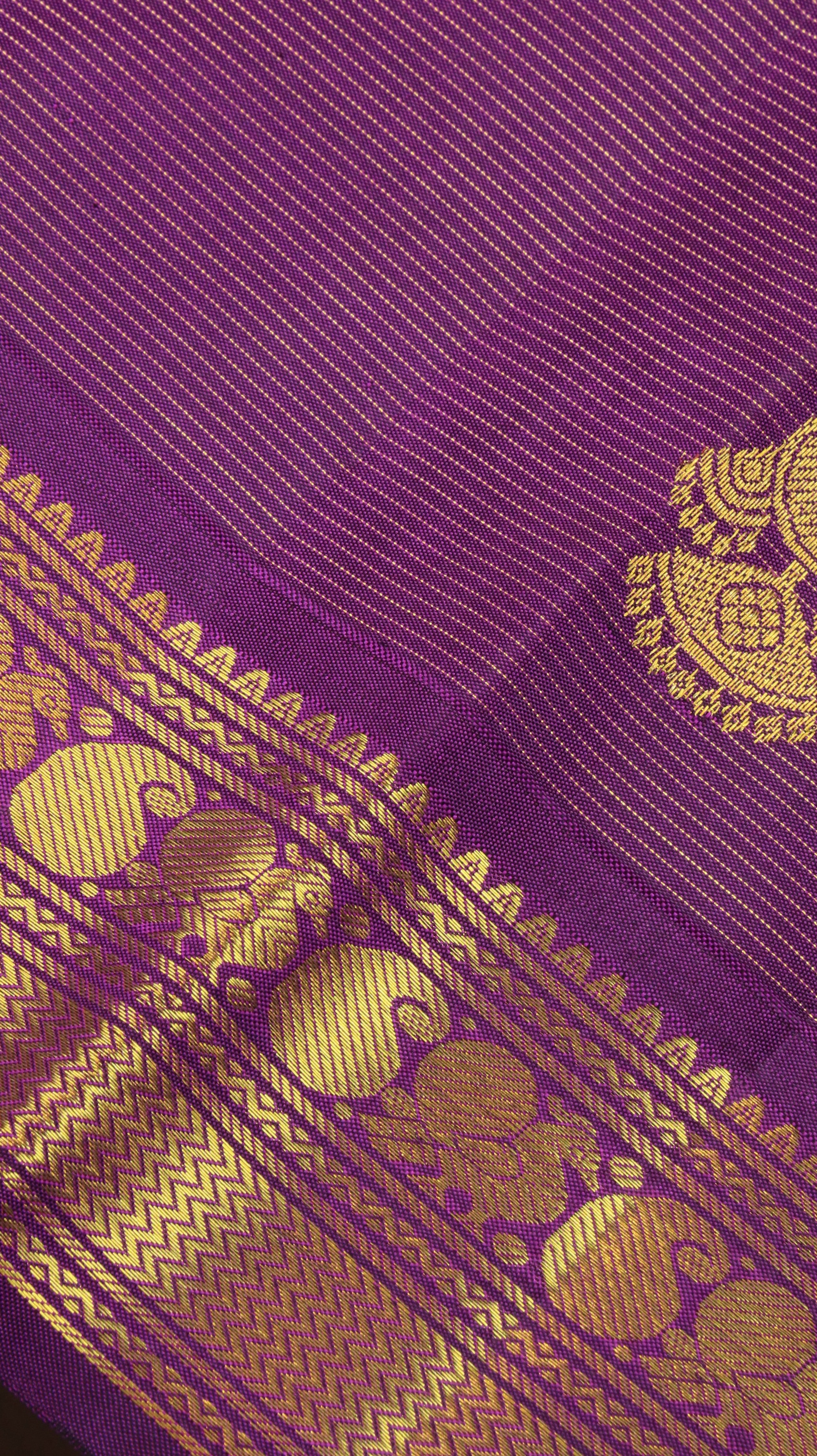 Kanvi | Kanjivaram